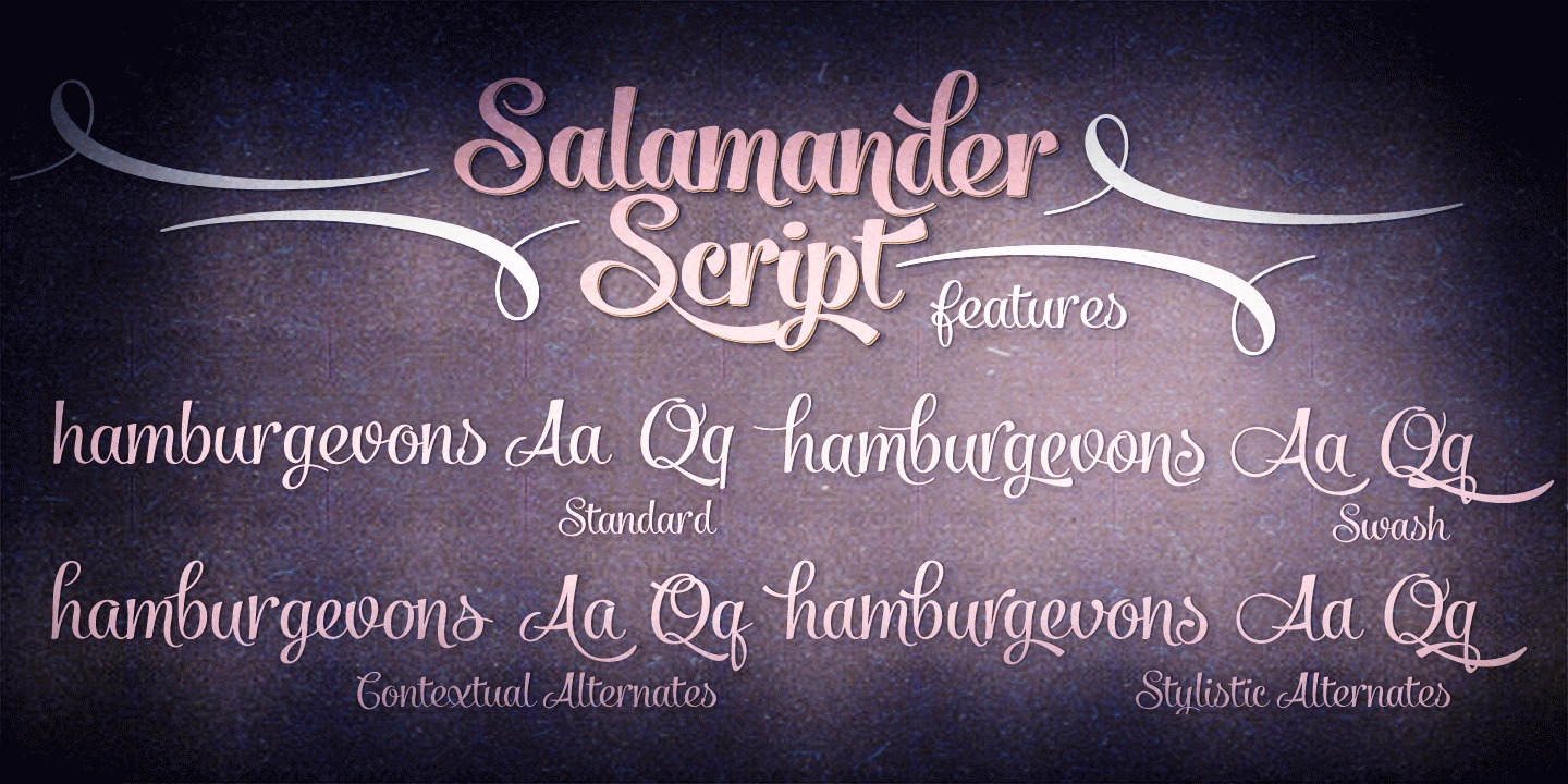 Salamander Script Font preview
